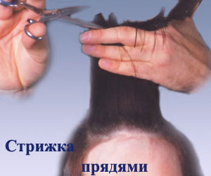 operacija-strizhki