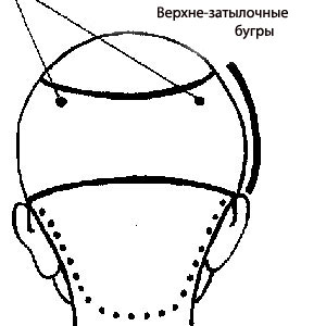 Верхне-затылочная зона - вид сзади схема