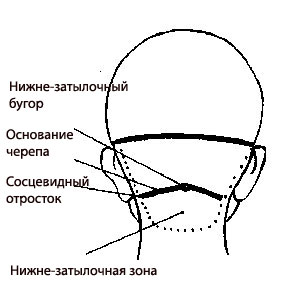 Нижне-затылочная зона головы